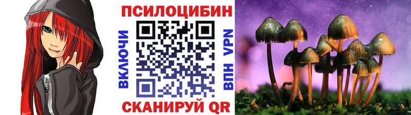 где найти Сергач Псилоцибиновые грибы мухоморы